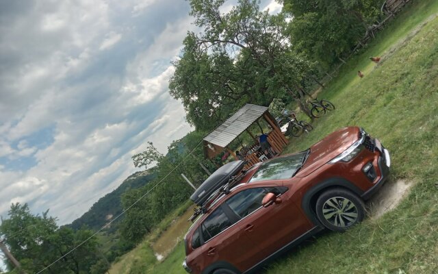 Room in Guest Room - Rural Holiday Transylvania
