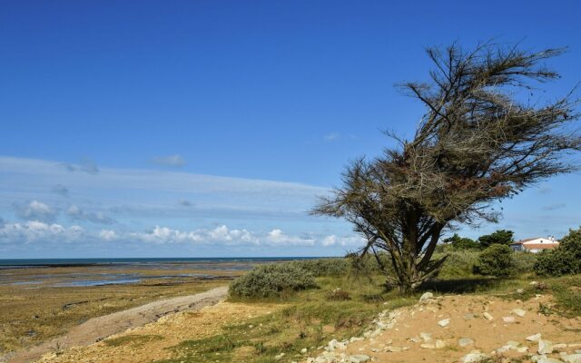 Cozy Holiday Home in Sainte-Marie-de-Re near Sea