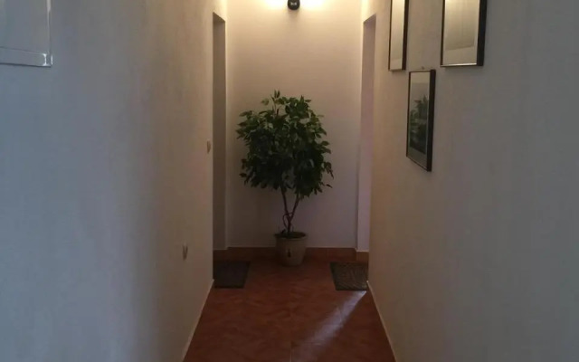 Apartments Villa Dolmar