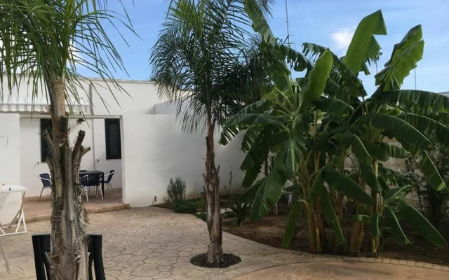 Punta Prosciutto Bed To Rent