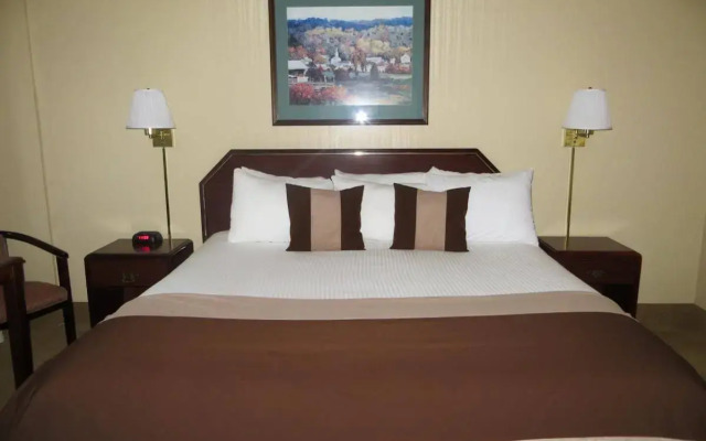 Ramada by Wyndham Denver Downtown
