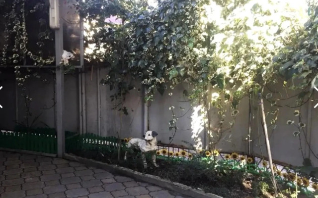 Guest House Letniy