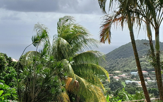 KAY MIT et KAY JACKO