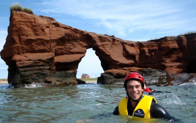 Auberge La Salicorne