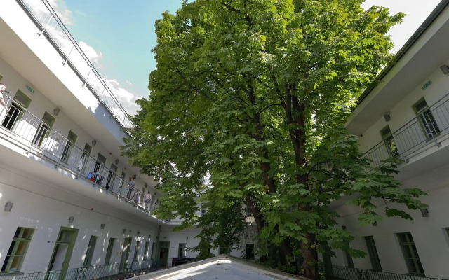 The Hive Party Hostel
