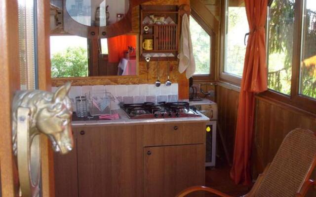 Transylvania Cowboy Cottage