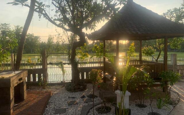 Lovina Vibes Hotel