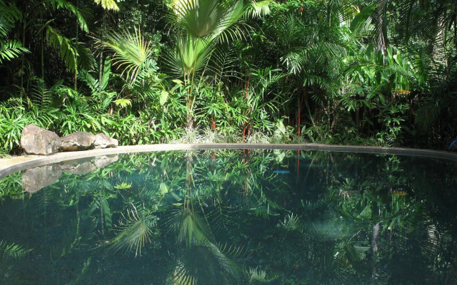 Daintree Rainforest Retreat