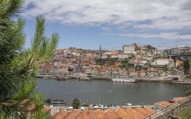 Liiiving in Gaia - Douro Dream View