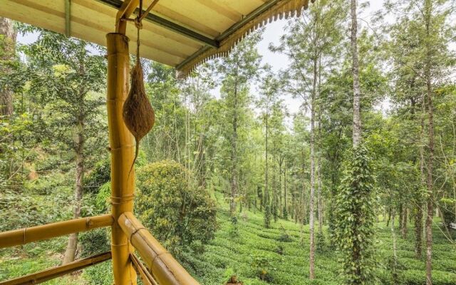 GuestHouser 4 BHK Tree house 7d51