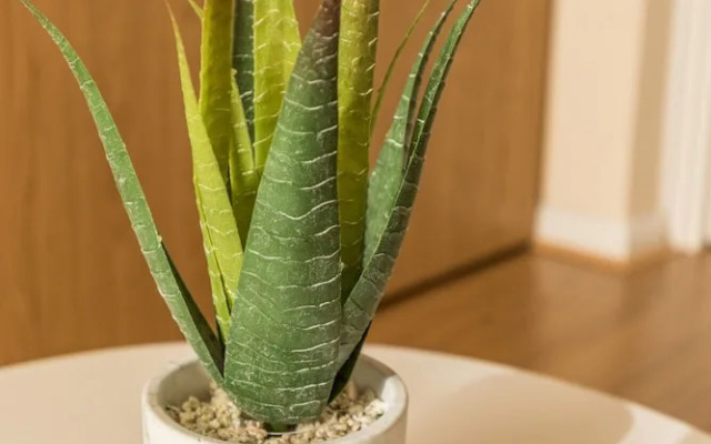 The Martlett Court Residence II