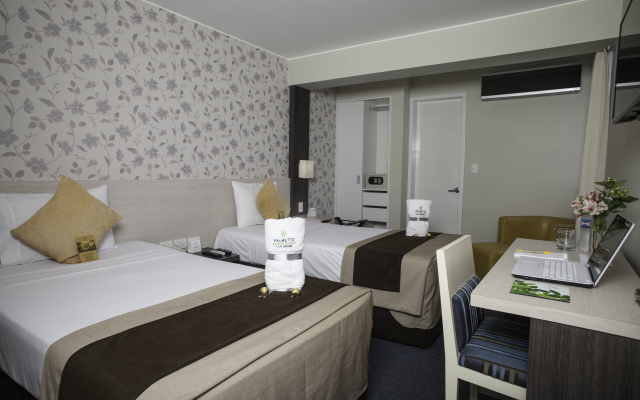 Palmetto Hotel Business San Miguel