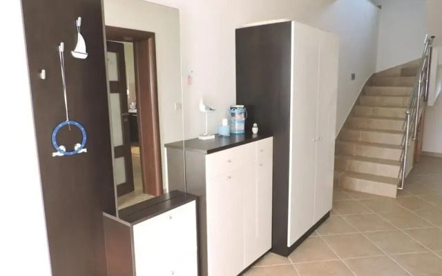 Pet - 20m From the sea - H