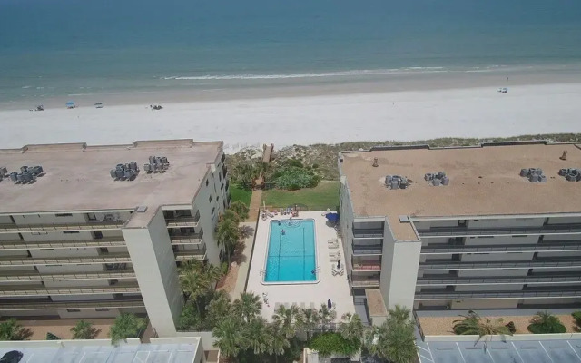 Sand Dollar 404