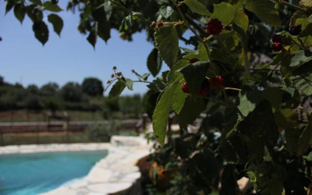 Il Trullo del Contadino