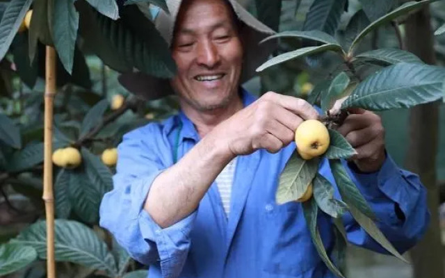 Yizhaiyisheng Guesthouse