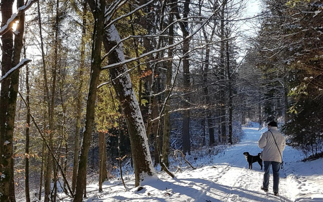 Ferienhaus "Am Gehre"