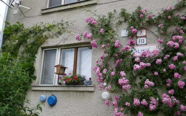 Sedliacky Dvor