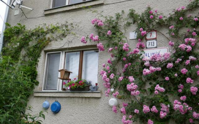 Apartment at Sedliacky Dvor - Brezno