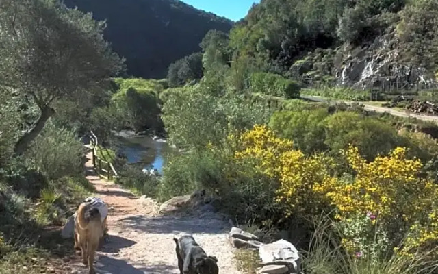 Romantic Private Cabin