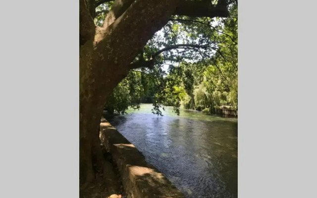 Appartement avec vue sur la Sorgue