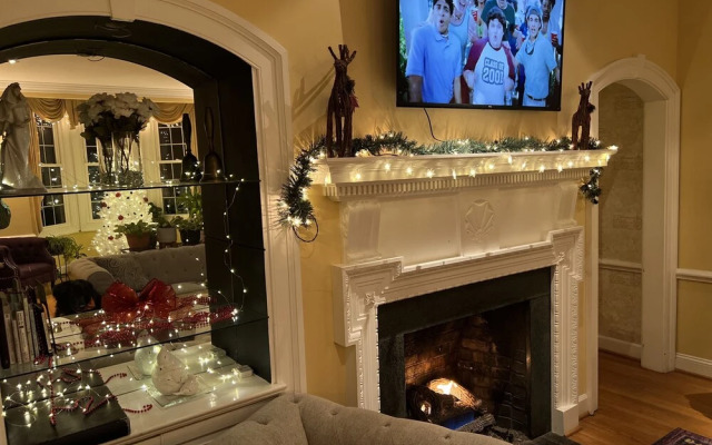 Nesselrod on the New