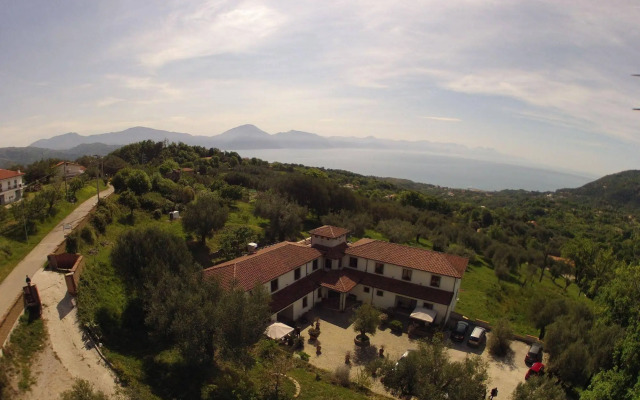 Tenuta Terre di Bosco