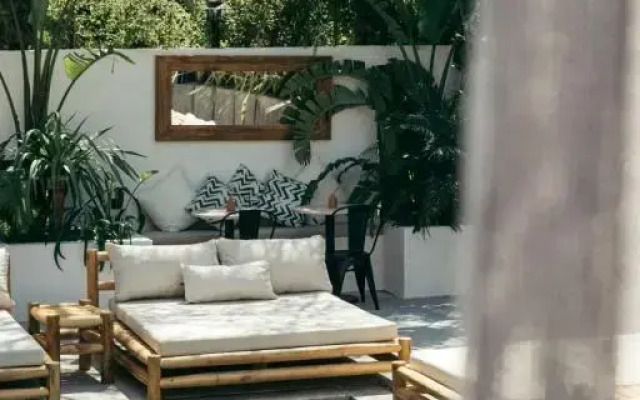 Primus Nefes Adults Only