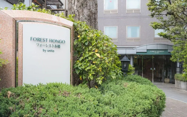 Forest Hongo By Unito