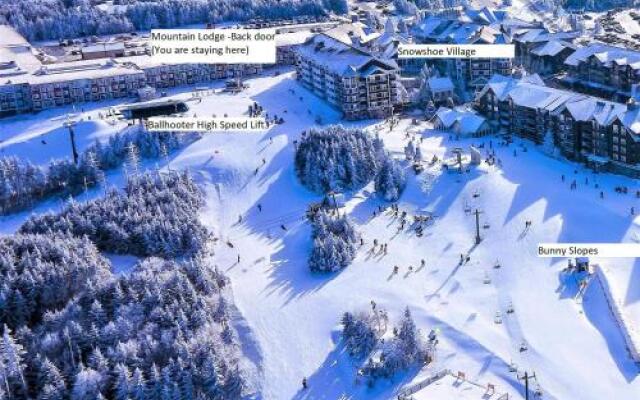 Snowshoe Condo Unit 269
