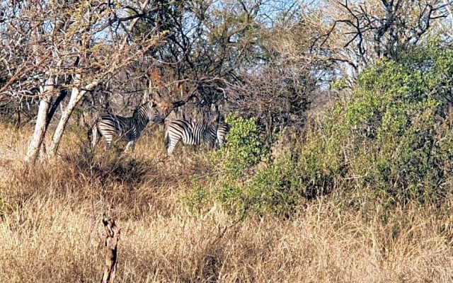 42@ Ditholo Game Lodge