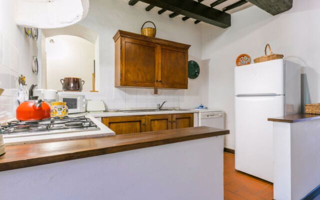 Bardeggiano - Caterina 3 (COL246)