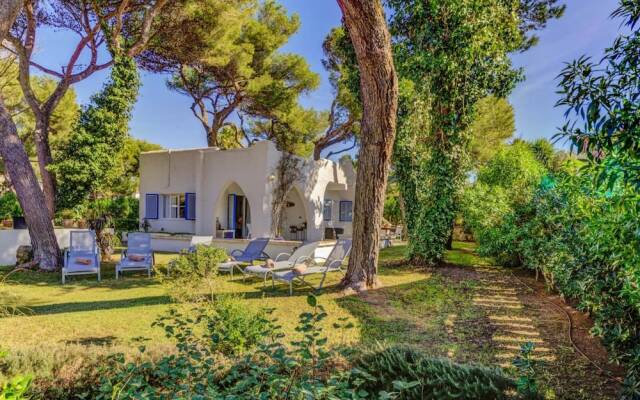 New 2020 Casa Plomer