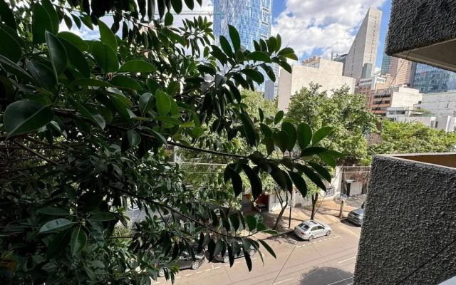 Apartment Near Reforma Agel