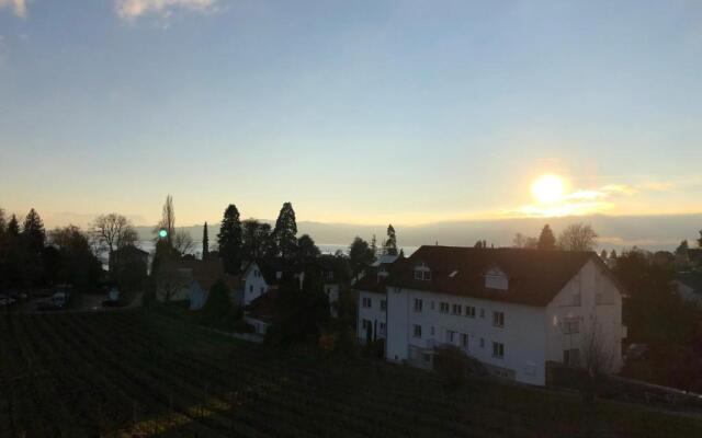 Ferienwohnungen Weingut Deufel