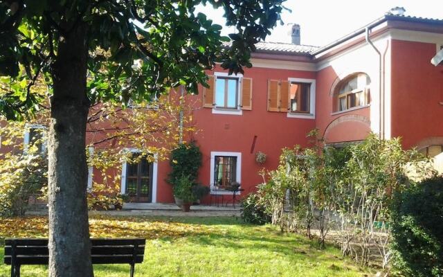 Il Pettirosso