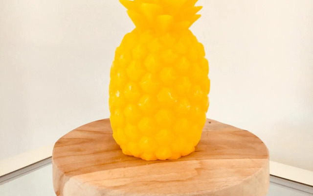 Vakantiehuis Witsand 1