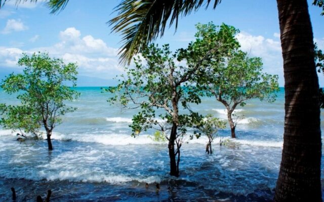 Bai Thom Cay Vong Nem Resort