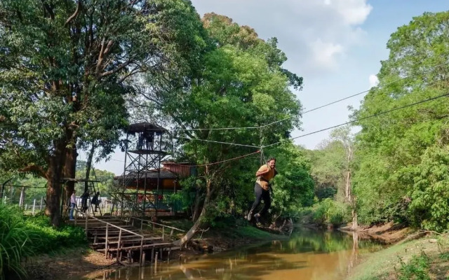 Shangri La Jungle Resort