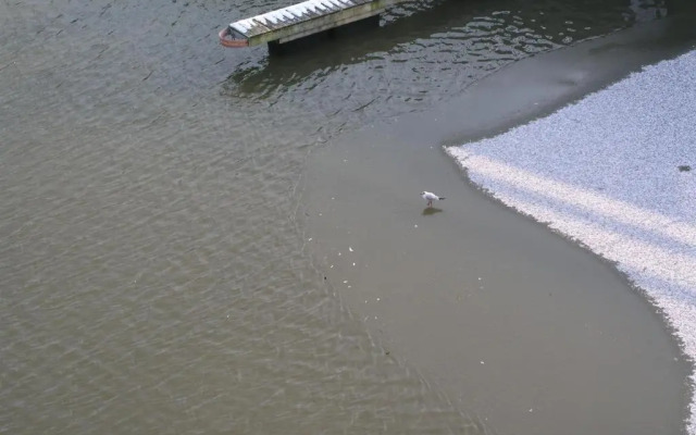 Ferienwohnung Marina Cux