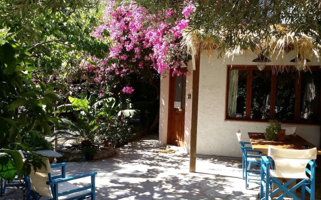 "exclusive Cottage in S. West Crete in a Quiet Olive Grove Near the Sea!"