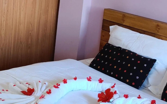 Palm garden paradise