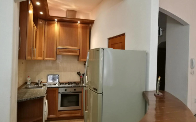 Penthouse in the City center with BBQ terrace