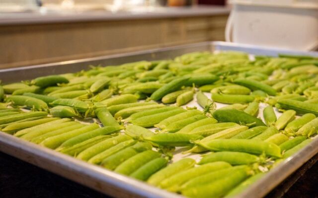 Hidden Valley Bed and Breakfast