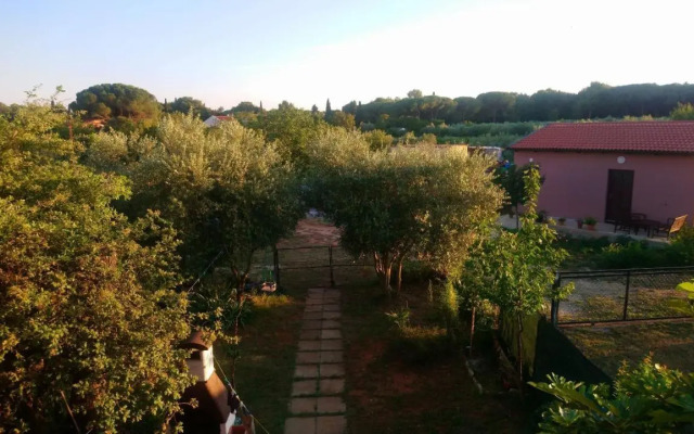 Apartments with a parking space Valbandon, Fazana - 7305