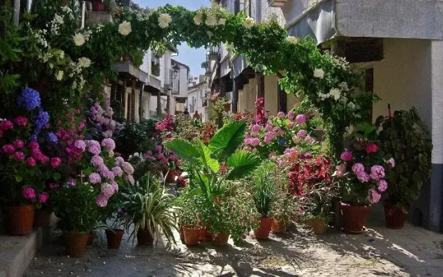 Apartamentos Turisticos Mirayuste