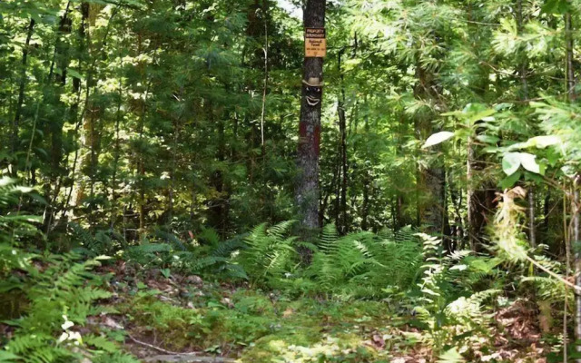 Chattahoochee Chillin