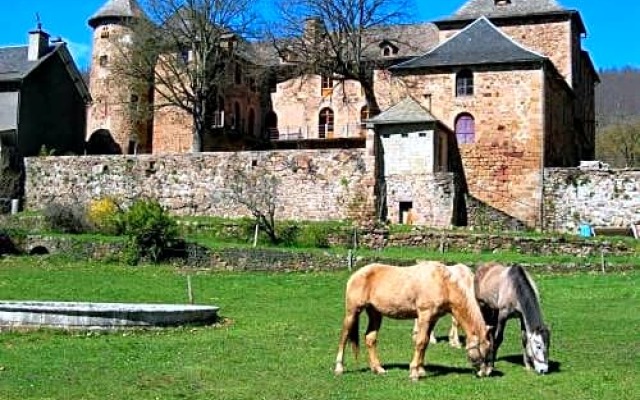 Château de Salelles