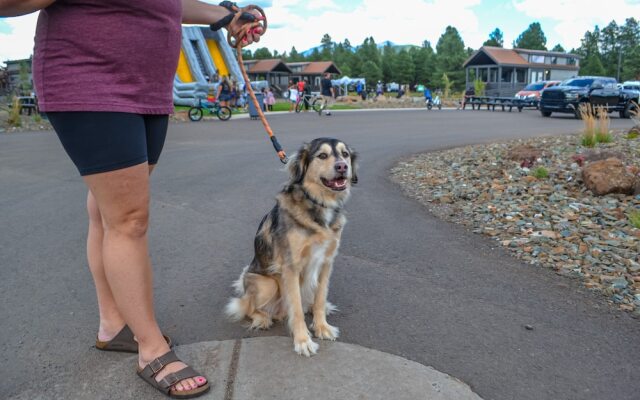 Village Camp Flagstaff