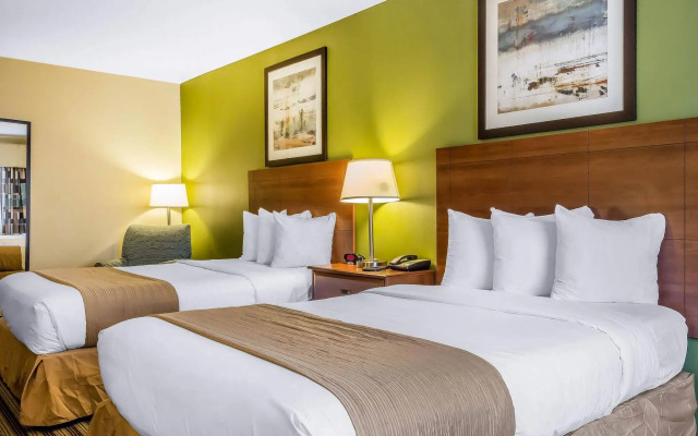 Quality Inn Flamingo